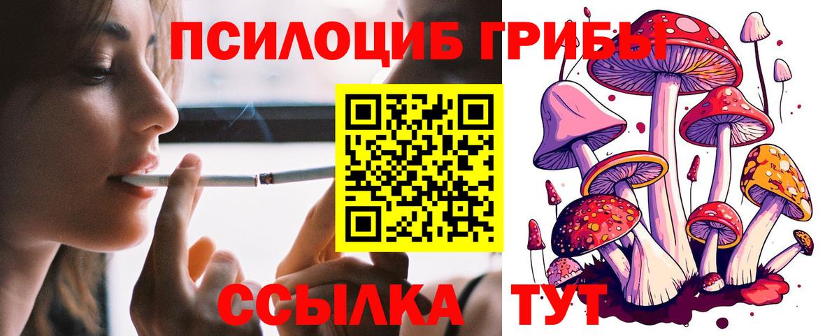 Магнитогорск  Псилоцибиновые грибы Cubensis  Вход с VPN  Псилоцибиновые грибы прущие грибы 