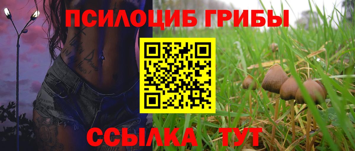 Псилоцибиновые грибы Psilocybe Магнитогорск